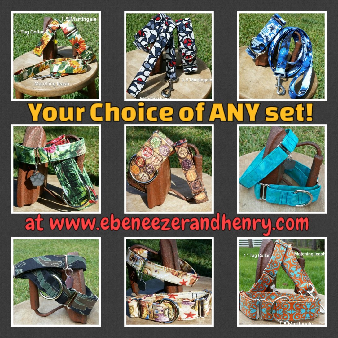 13035640_458157041060962_1190100218_o