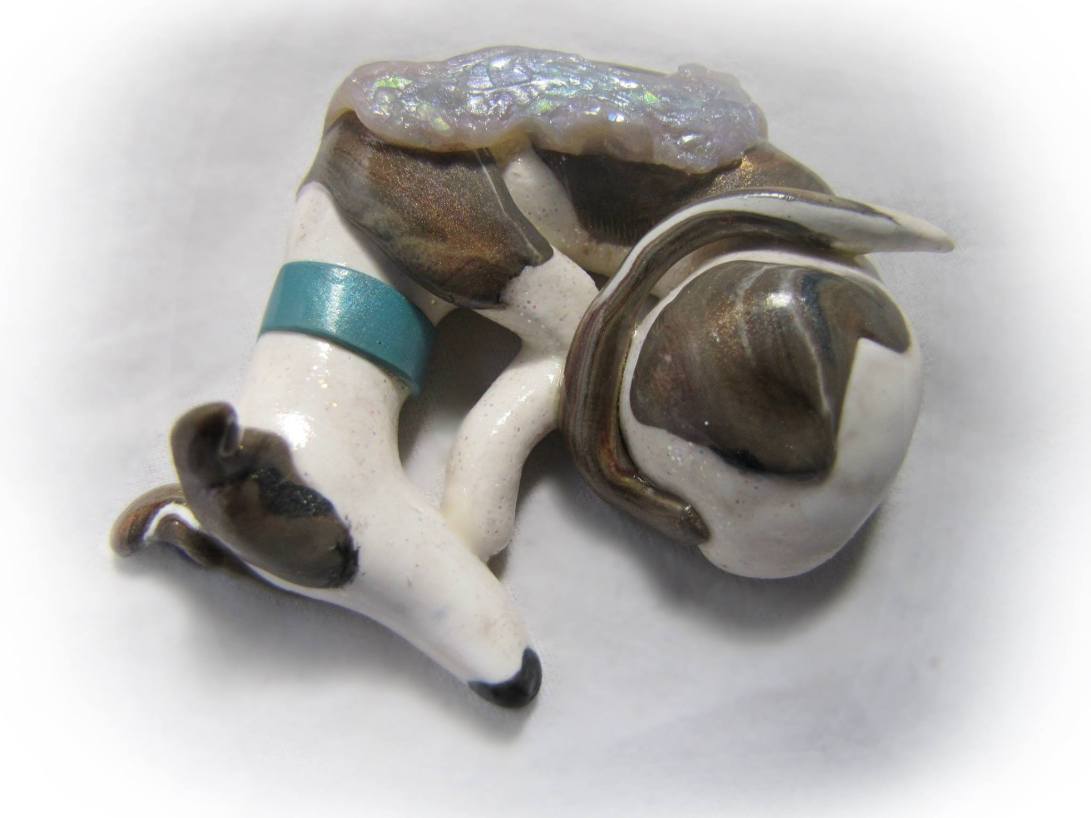 13047925_10154121266256796_6953625257675075320_o